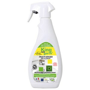 Désinfectant Détergent Dégraissant Surfaces Multi-usages - Spray 750 ml pas cher